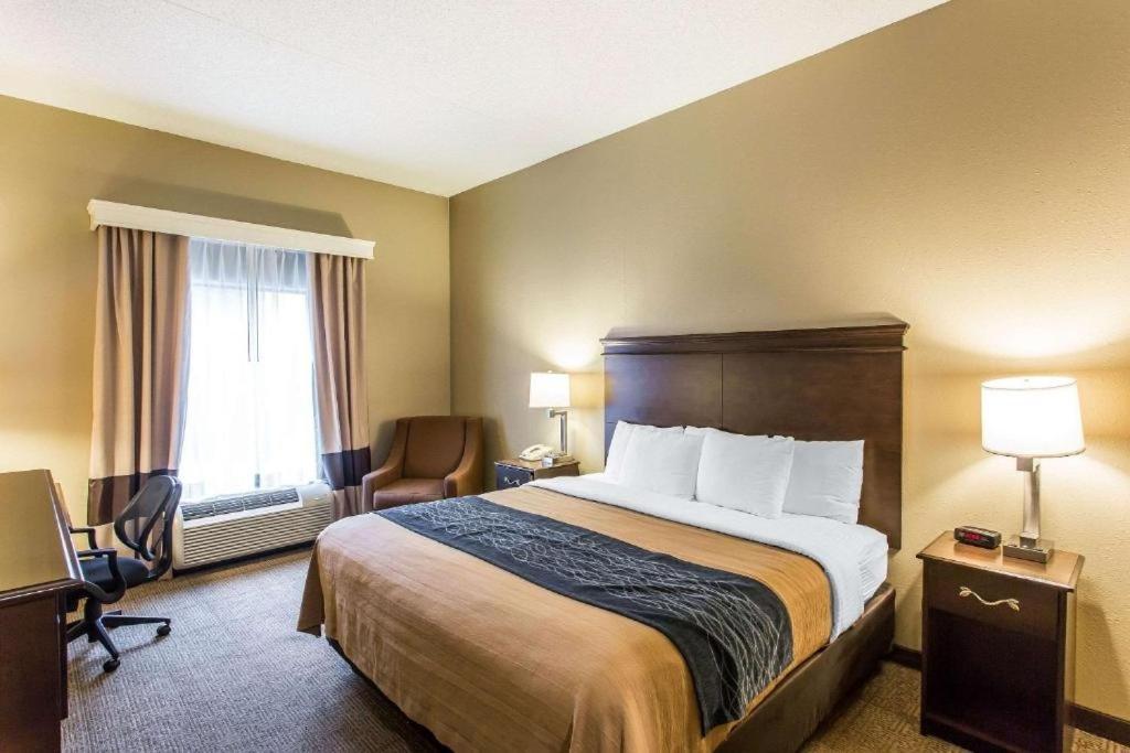 Comfort Hotel